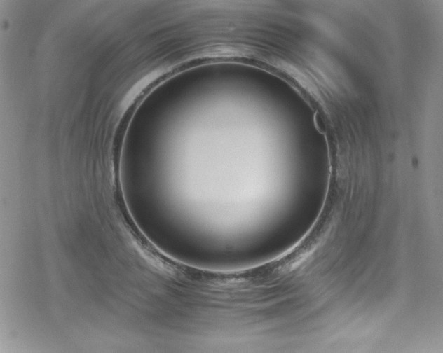 X0000070430837200606121409