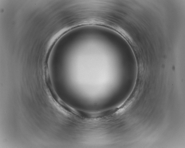 X0000070430854200606121409