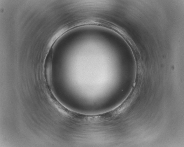 X0000070430858200606121409