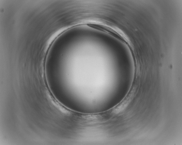 X0000070430862200606121409