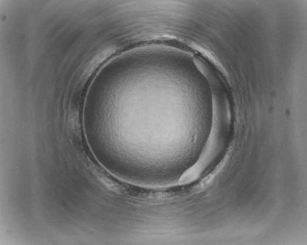 X0000070430881200606121408