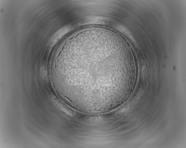 X0000070430882200606121408