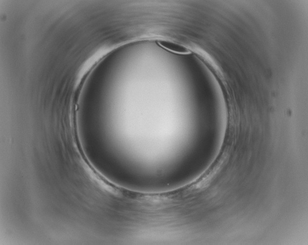 X0000070430910200606121408
