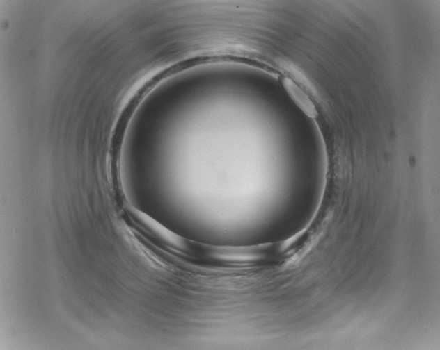 X0000070430932200606121407