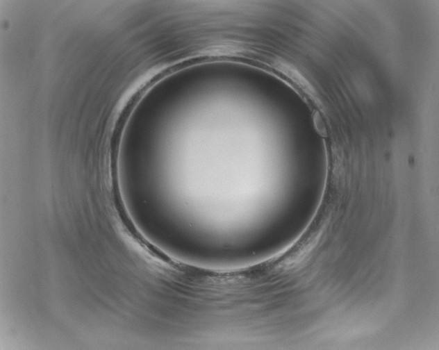 X0000070430939200606121407