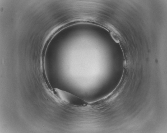 X0000070430940200606121407