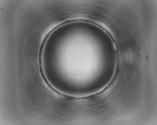 X0000070430943200606121407