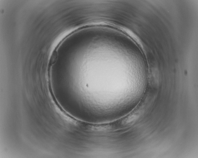 X0000070430951200606121407