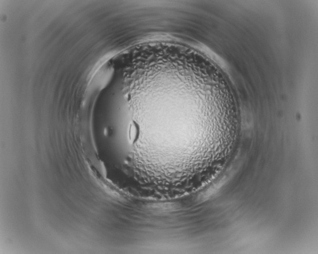 X0000070430953200606121407