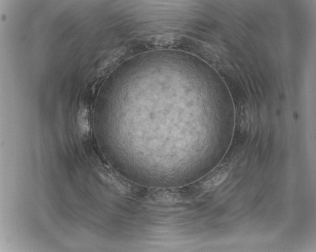 X0000070430962200606121407