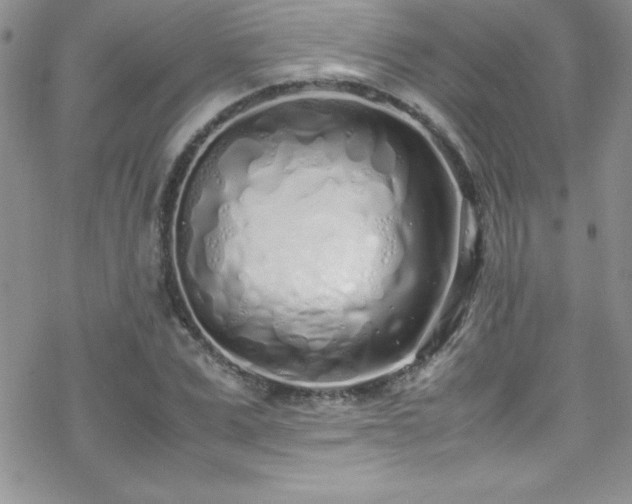 X0000070430975200606121406