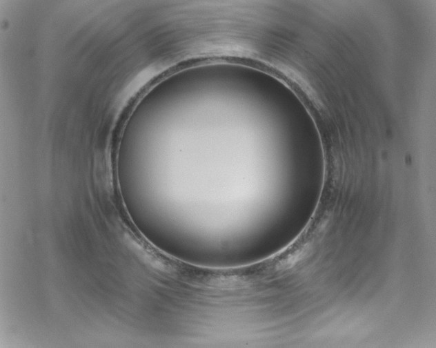 X0000070430982200606121406