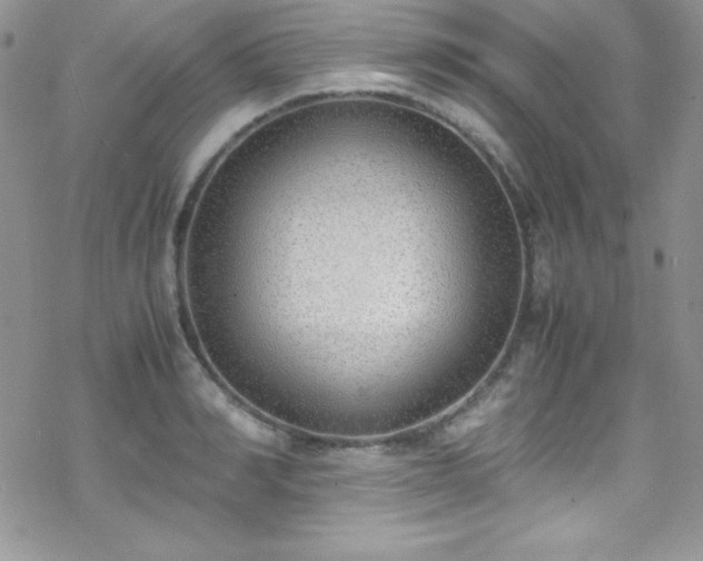 X0000070430990200606121406