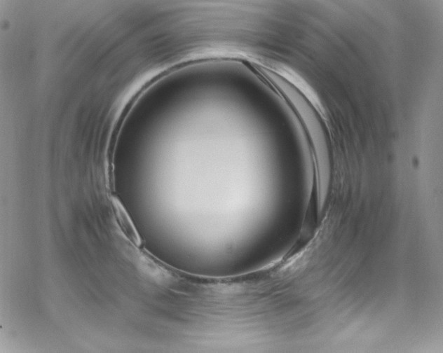 X0000070430996200606121406