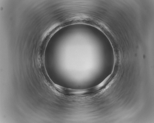 X0000070431018200606121405
