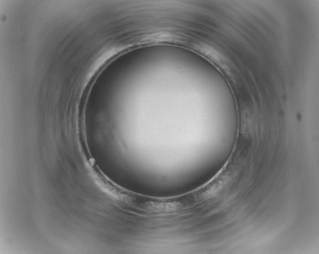 X0000070431039200606121406