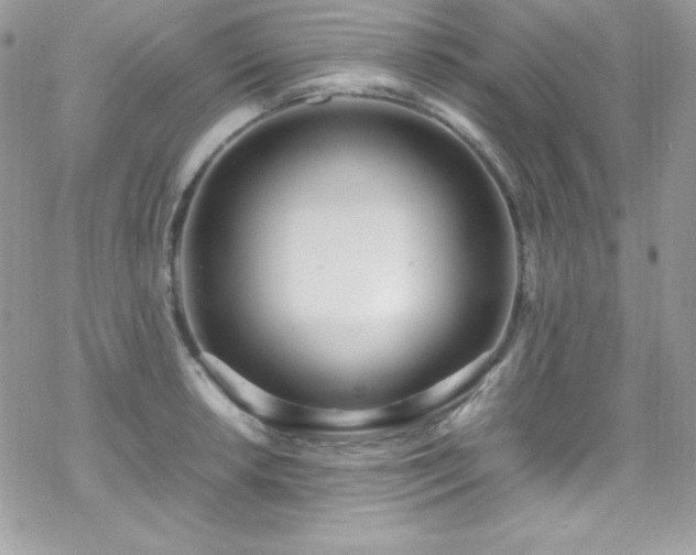 X0000070431042200606121406