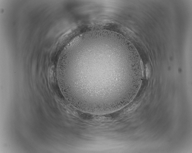 X0000070431059200606121405