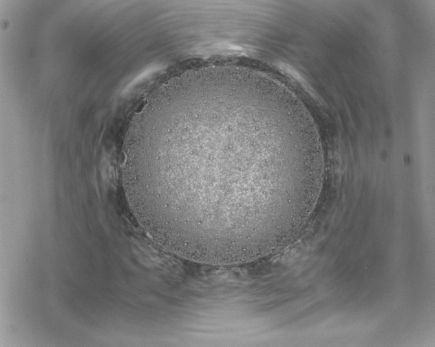 X0000070431063200606121405
