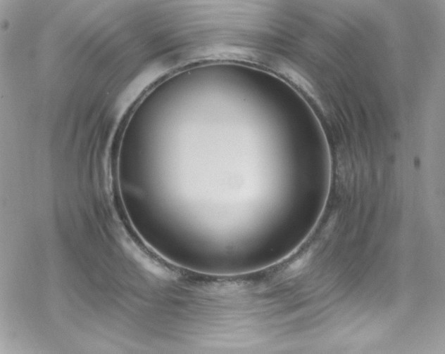 X0000070431082200606121405