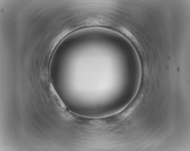 X0000070431089200606121405