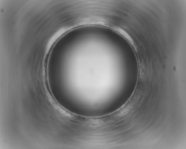 X0000070431096200606121404