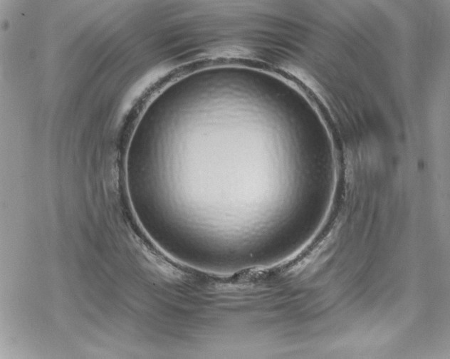 X0000070431115200606121404