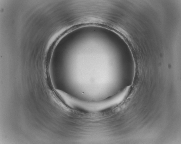 X0000070431120200606121404