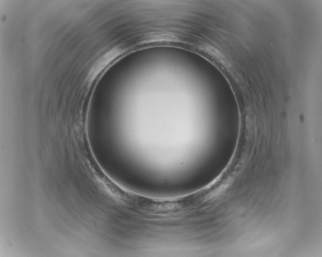 X0000070431129200606121404