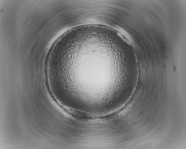 X0000070431142200606121404