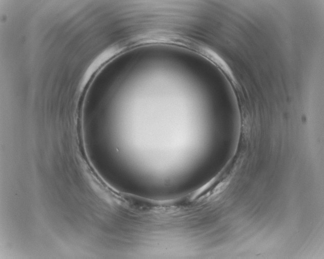 X0000070431146200606121404