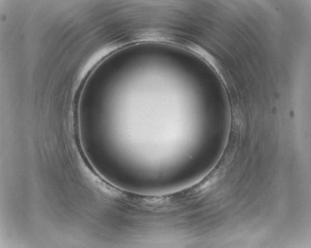 X0000070431147200606121404