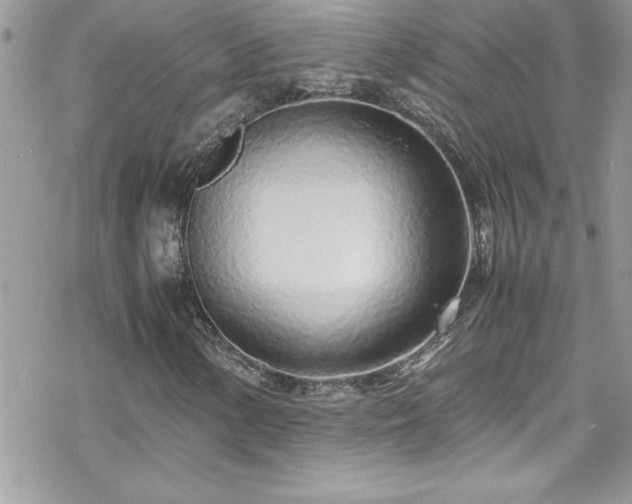 X0000070431154200606121403