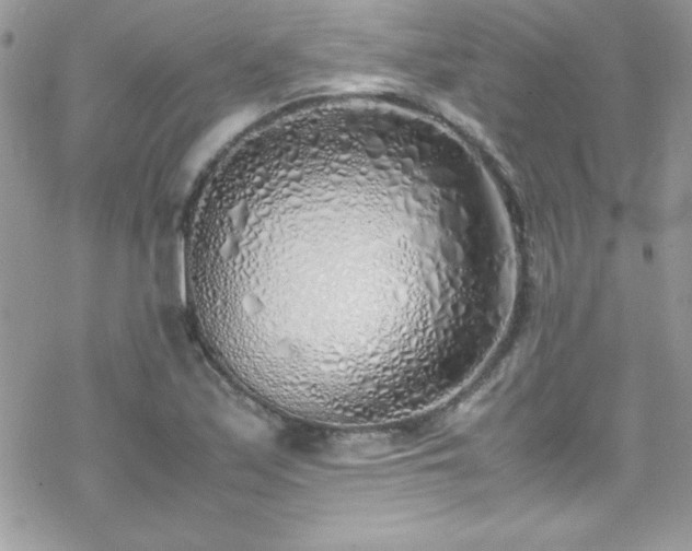 X0000070431171200606121403