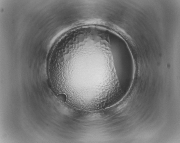 X0000070431174200606121403