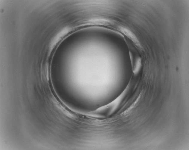 X0000070431180200606121403