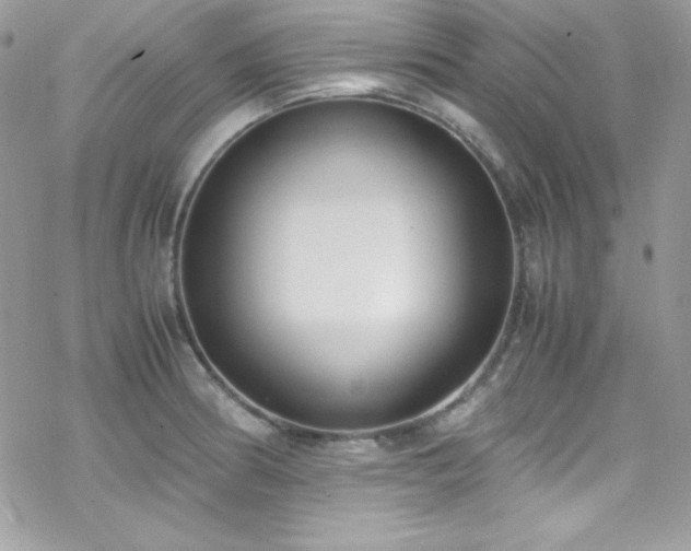 X0000070431186200606121403