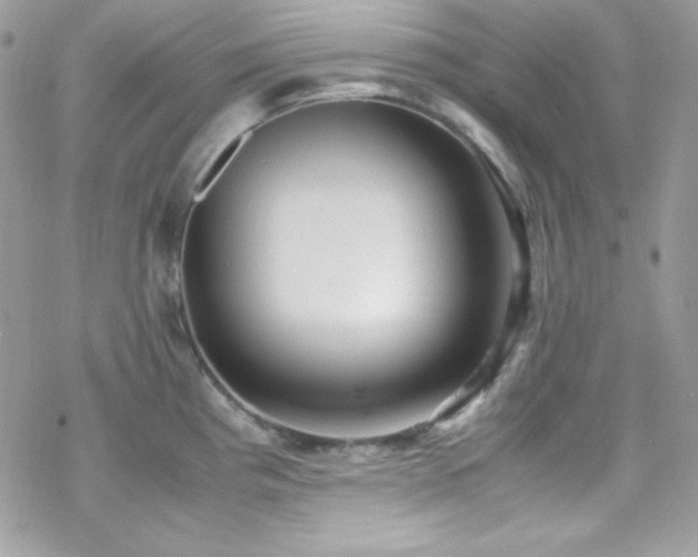 X0000070431193200606121403