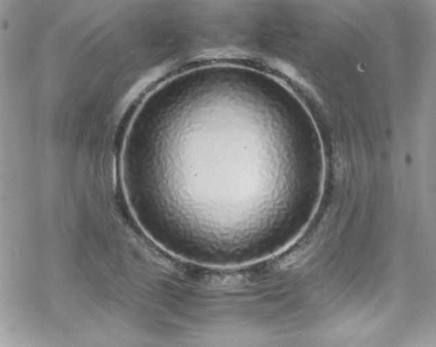 X0000070431221200606121402