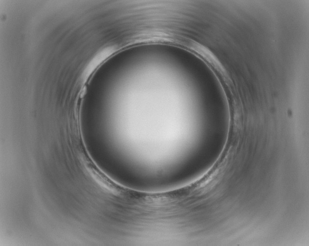 X0000070431242200606121403