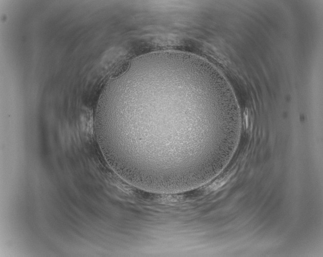 X0000070431251200606121402