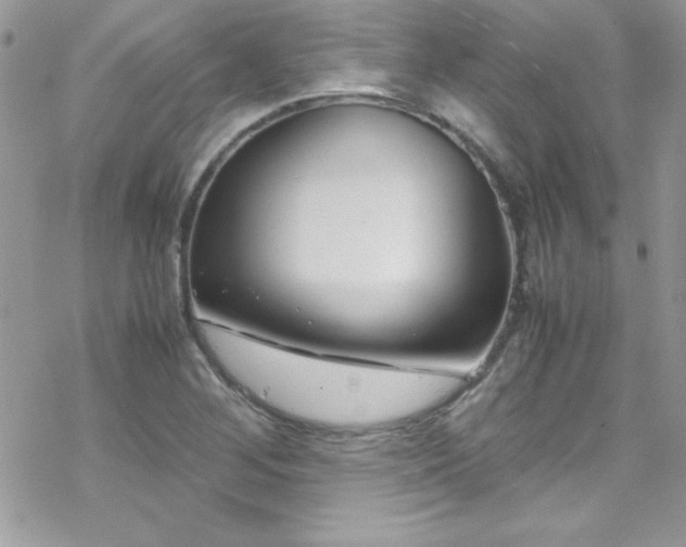 X0000070431268200606121402