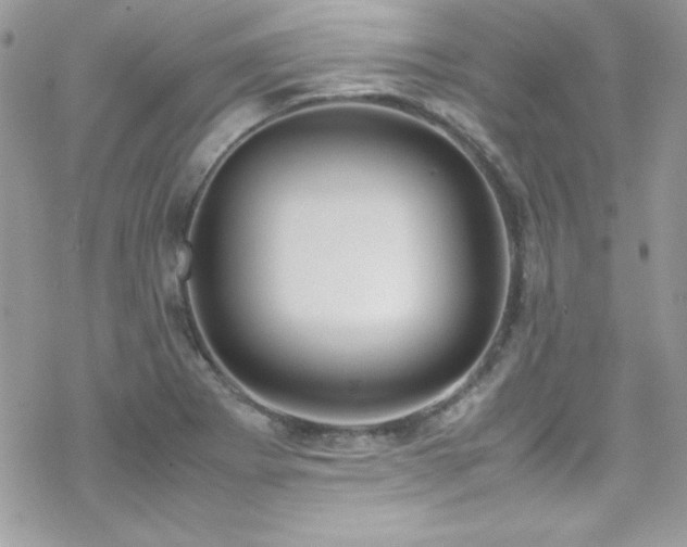 X0000070431273200606121402