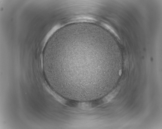 X0000070431275200606121402