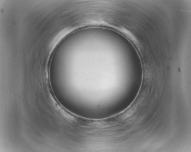 X0000070431287200606121401