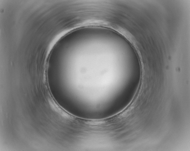 X0000070431296200606121401