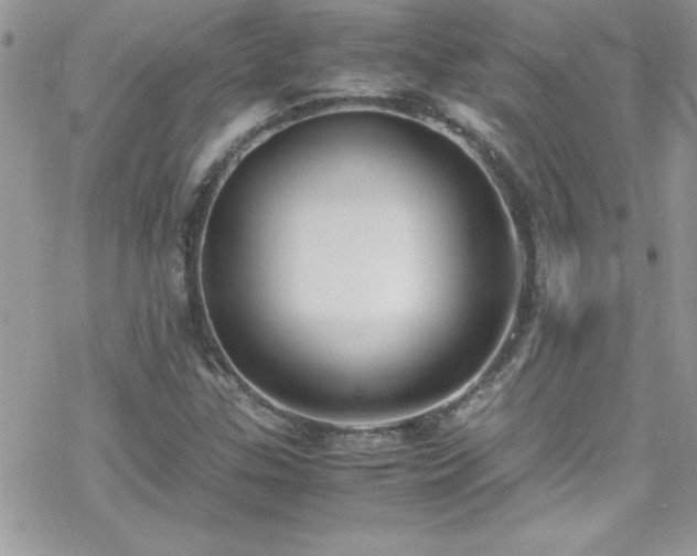 X0000070431307200606121401