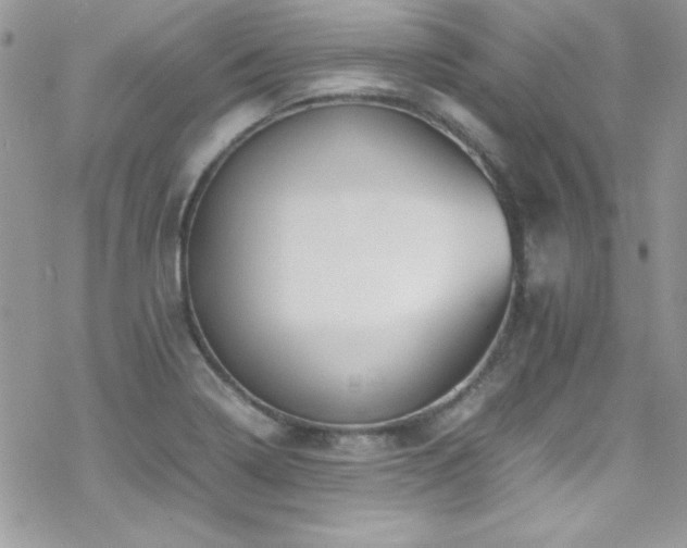 X0000070431322200606121401