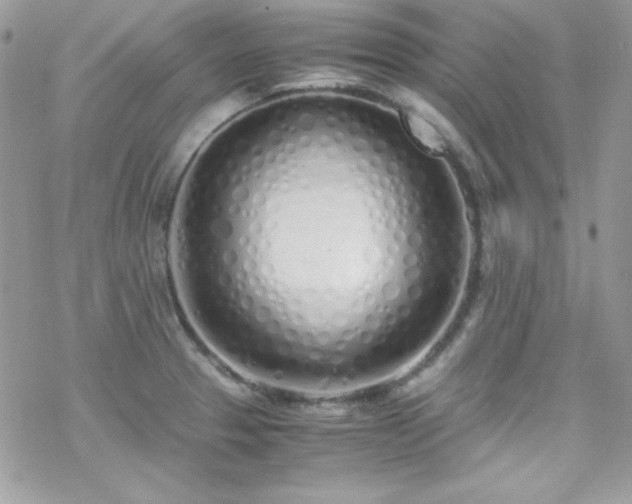 X0000070431329200606121401