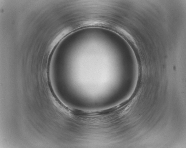 X0000070431330200606121401